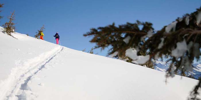 Freerando en Haute Tarentaise