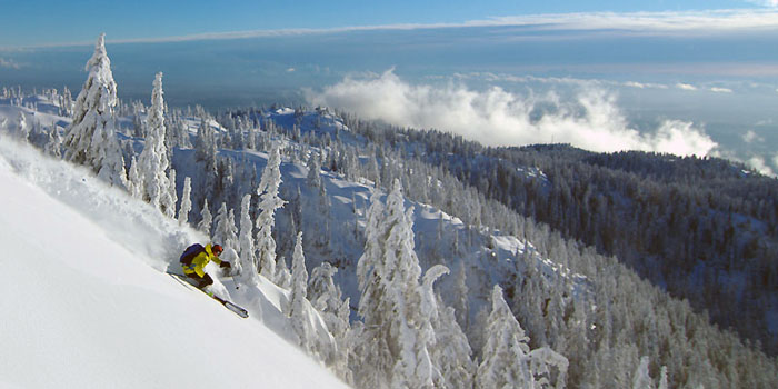 Ski de rando au Canada dans les forêts de la sea to sky highway
