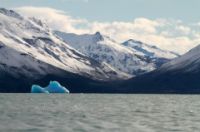 Iceberg sur le lago Argentino