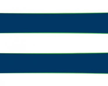 faction agent 1.0 2020