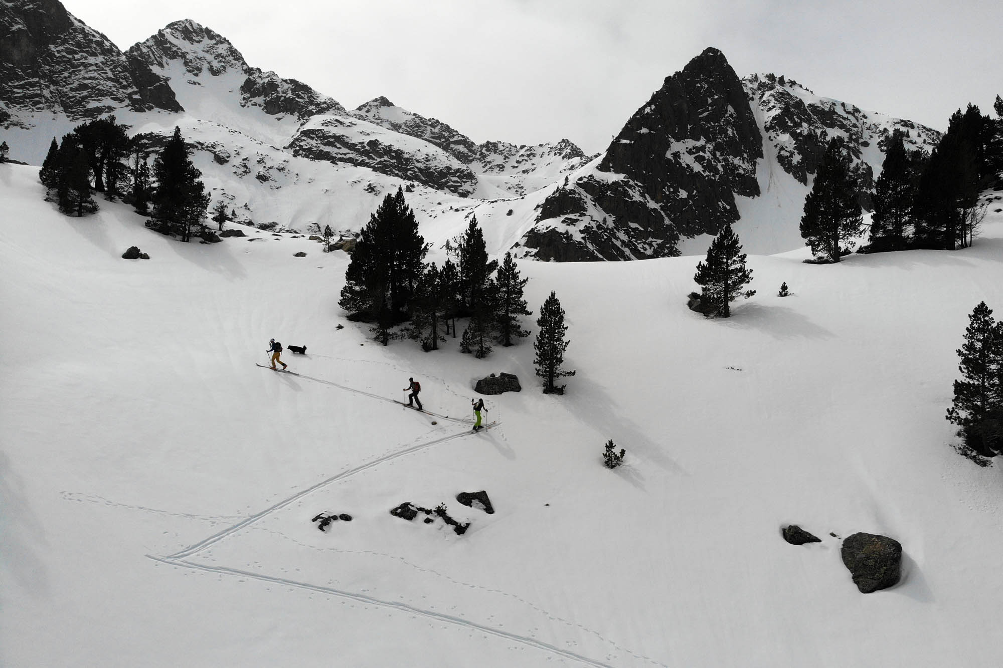 Test ski randonnée Movement Axess 86