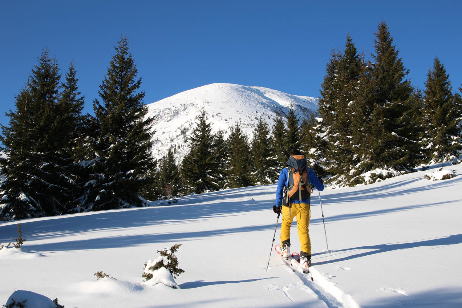 Hoverla en vue