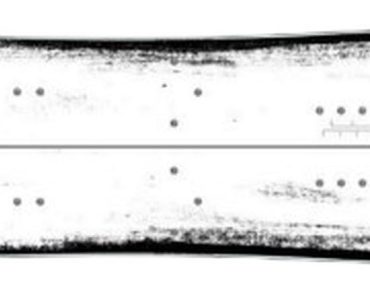 Amplid Metamorph