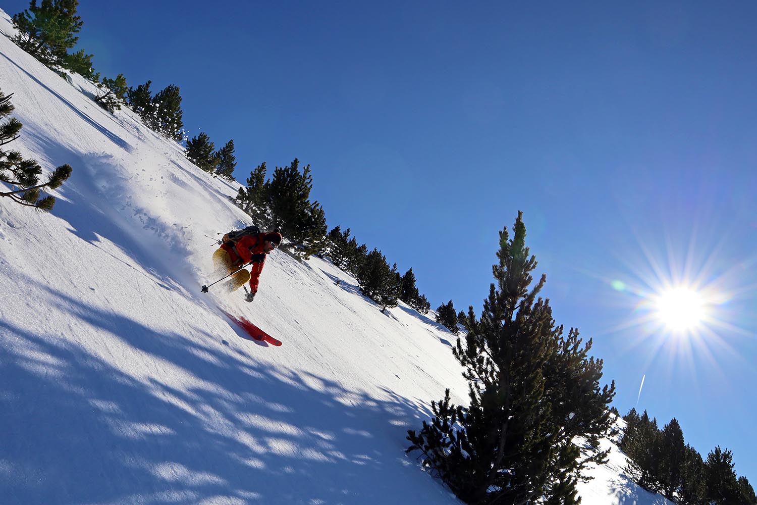 Descente En Foret Au Tuc Dombrer