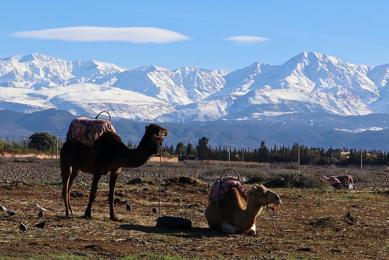 Vue Sur Le Haut Atlas