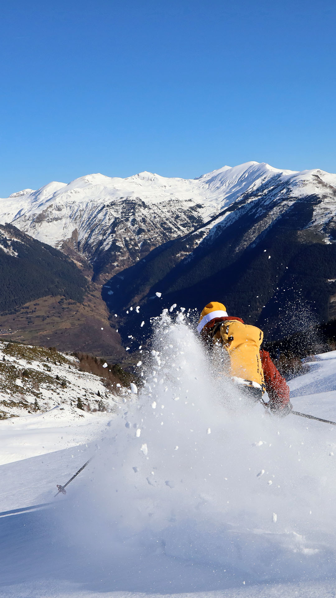 Ski Randonnee Descente Poudreuse